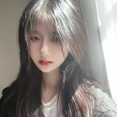 我的小狮王